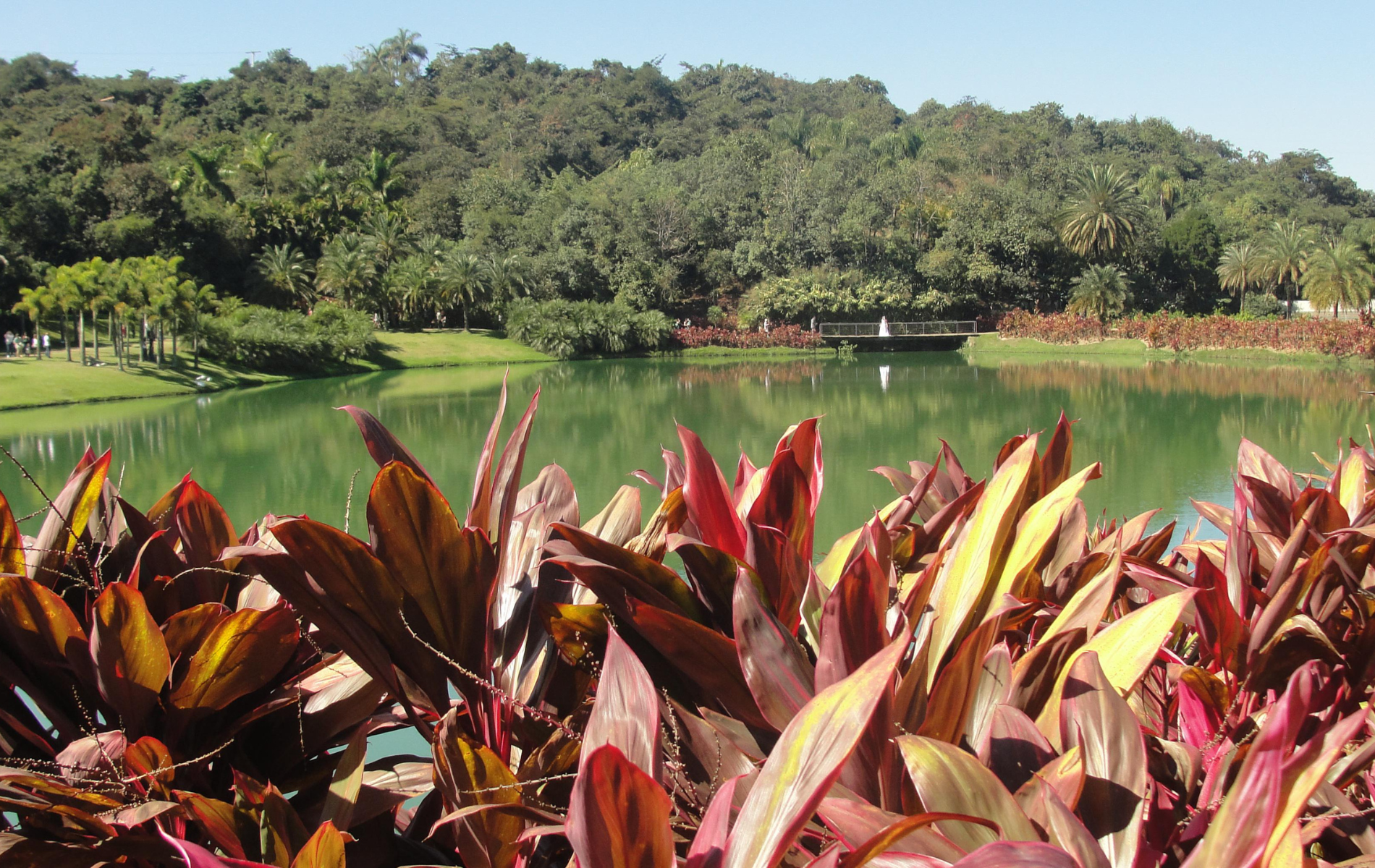 site 1900 x 1200 (19)