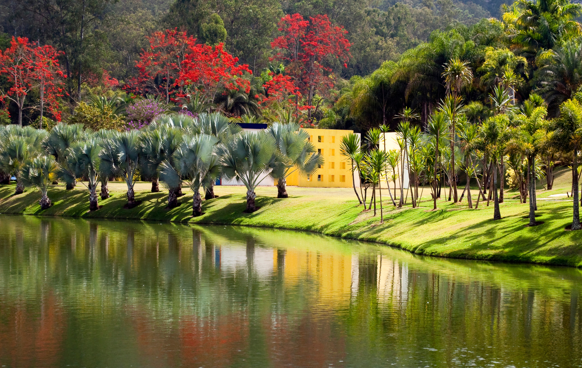 site 1900 x 1200 (20)