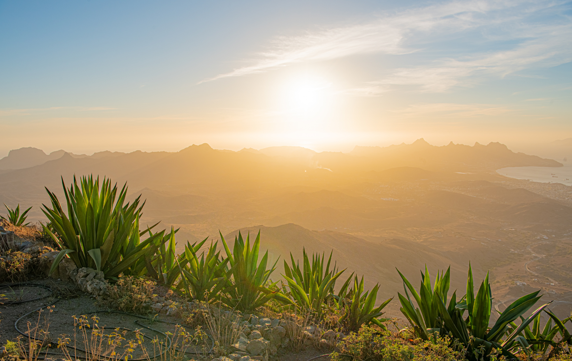 site 1900 x 1200 (22)