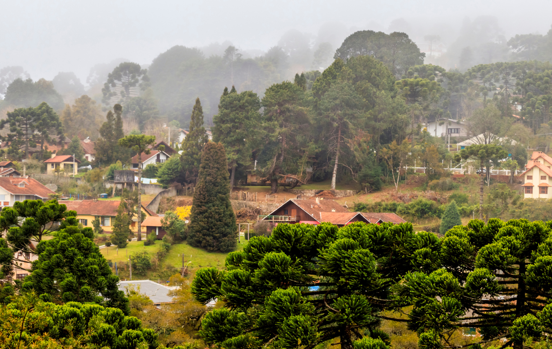 site 1900 x 1200 (23)