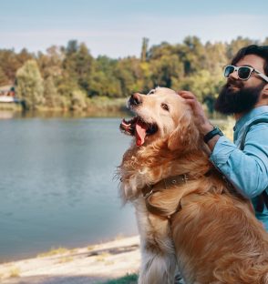 5 cuidados para deixar o pet seguro durante sua viagem