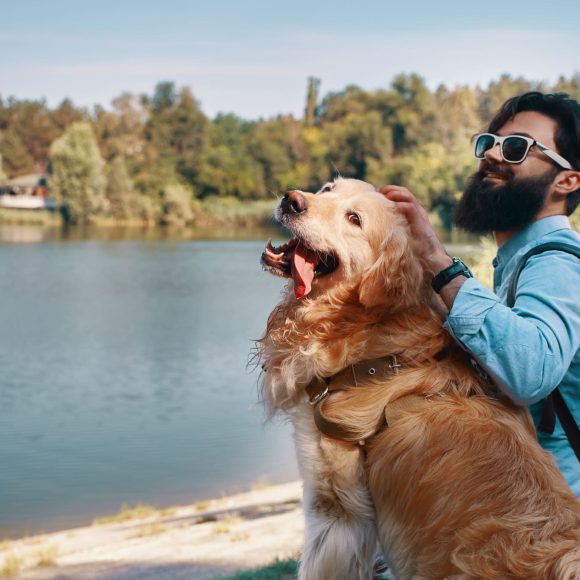 5 cuidados para deixar o pet seguro durante sua viagem