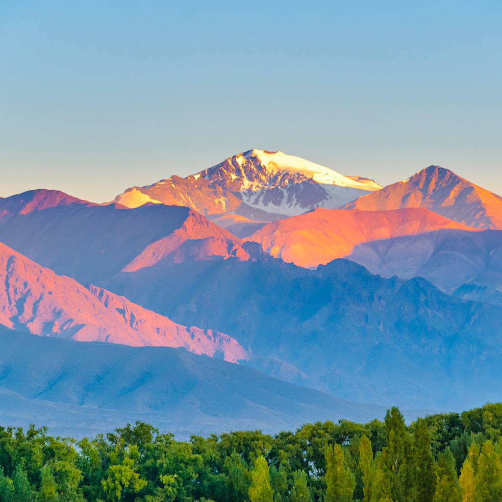 site (1024 x 1024 px) (6)