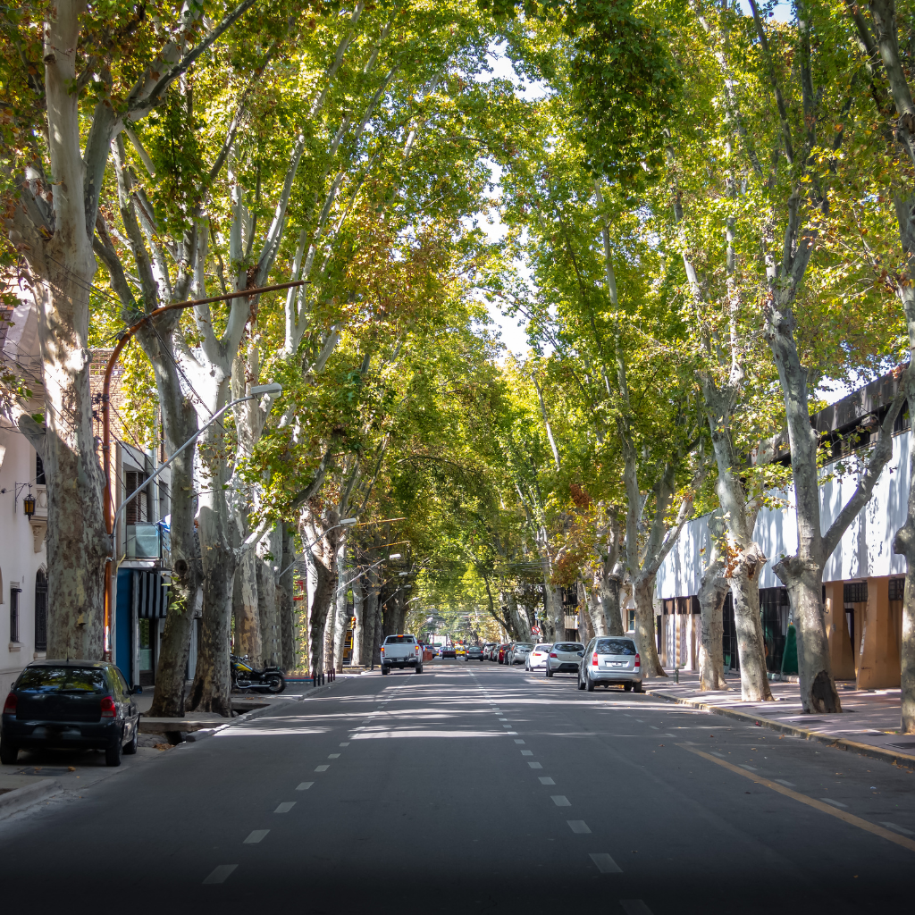 site (1024 x 1024 px) (7)